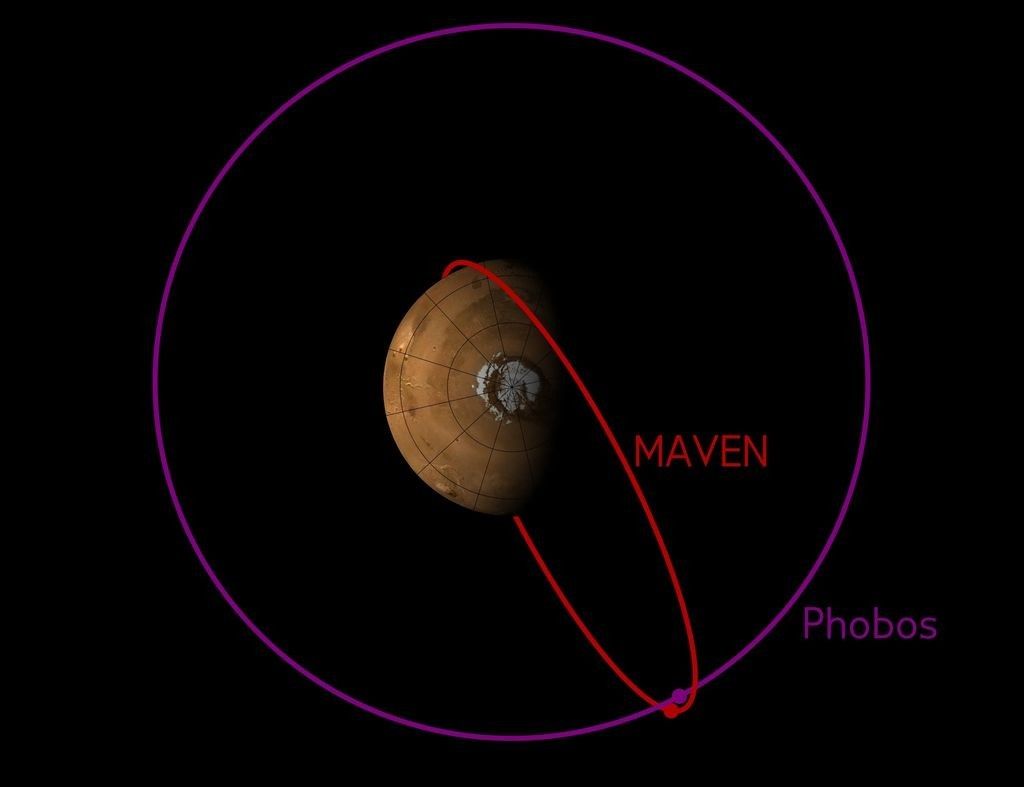 Orbity Fobosa i sondy MAVEN. Ilustracja: NASA, CU
