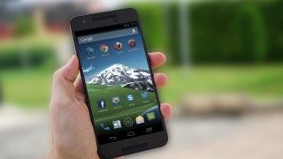 Fot. domena publiczna / pixabay CC0