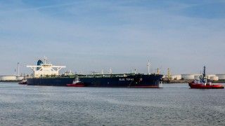 fot. Frans Berkelaar / Flickr