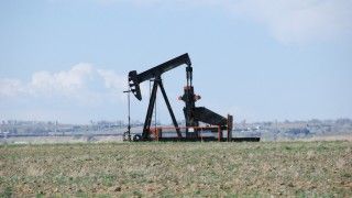 fot. Maarten Heerlien/ flickr