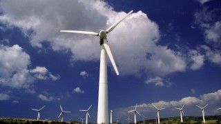 Fot. Brian Snelson / Flickr