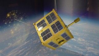 photo: hewelianum.pl