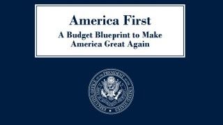 Department of Homeland Security/ Domena Publiczna