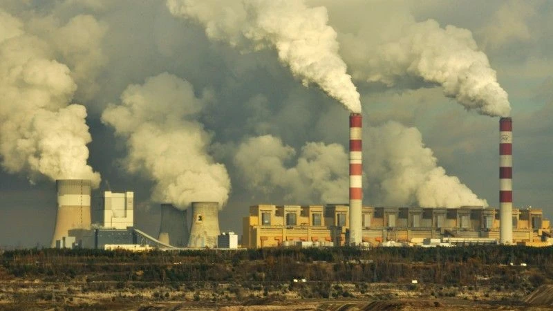 Fot. Greenpeace Polska / Flickr