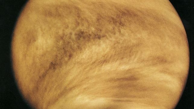 Obraz Wenus w ultrafiolecie, w obiektywie sondy Pioneer Venus Orbiter. Fot. NASA/JPL