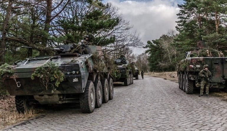 Image Credit: 17th 'Wielkopolska' Mechanized Division