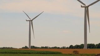 Fot. Michael Gil Follow / Flickr