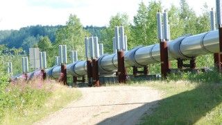 Fot. Harvey Barrison / Flickr