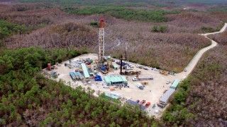 Fot. Big Cypress National Preserve / Flickr