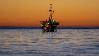 Fot. Glenn Beltz / Flickr