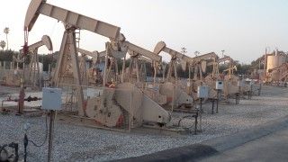 Fot. haymarketrebel / Flickr