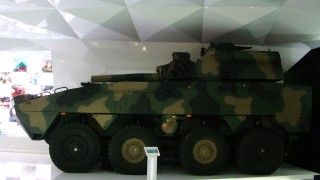 KTO 8x8 ROSOMAK RAK
fot. D.Sadza/D24