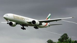 Fot. Bill Wilt / Flickr