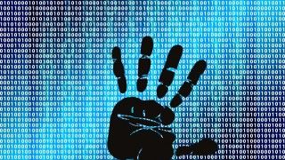 Fot. Kai Stachowiak / Publicdomainpictures.net / domena publiczna