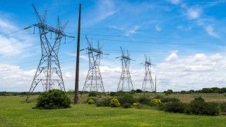 Fot. Deni Williams / Flickr