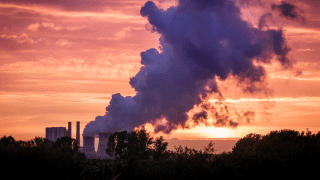 Fot. Flickr/Mario Goebbels