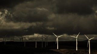 fot. Richard Walker/ flickr