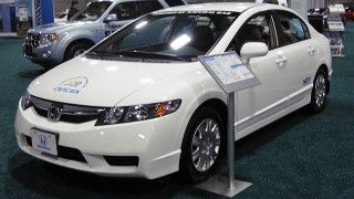 Fot. Wikipedia / domena publiczna