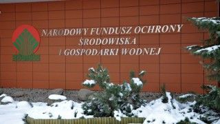 Fot. Jan Ruszkowski/Wikimedia, licencja Creative commons