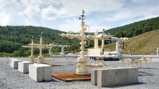 Fot. Jeremy Buckingham / Flickr