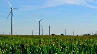 fot. Illinois Wind Farm/ Flickr
