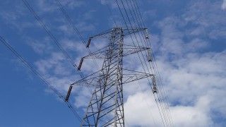 Fot. David Rickard / Flickr