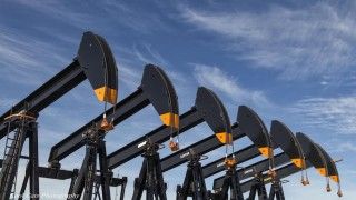 Fot. Kool Cats Photography over 5 Milion Views / Flickr