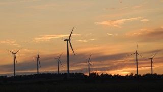 Fot. SCA Svenska Cellulosa Aktiebolaget / Flickr