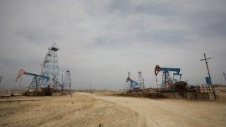 Fot. Nick Taylor / Flickr