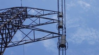 Fot. David Rickard / Flickr