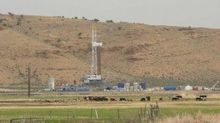 Fot. Jeff Foster / Flickr