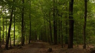 Fot. Jussi Silfver / Flickr