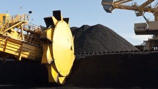 Fot. Jeremy Buckingham / Flickr