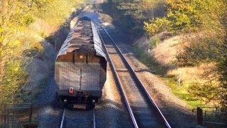 Fot. Micolo J / Flickr