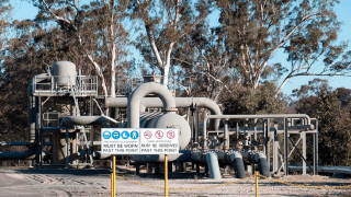 Fot. Jeremy Buckingham/flickr