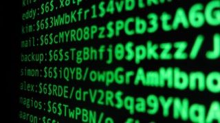 Fot. Christiaan Colen / flickr.com