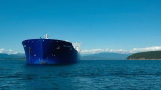 Fot. Johan Wieland / Flickr