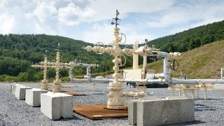 Fot. Image Library/ flickr