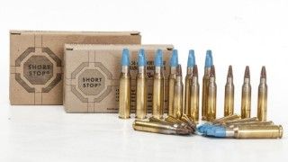 Fot. Cenzin