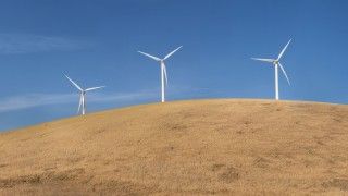 Fot. Bill Christian / Flickr