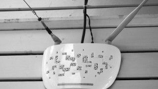 Fot. Public Domain Pictures/Domena Publiczna