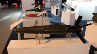 Rodzina pocisków kierowanych laserowo powstających w ukraińsko-polskiej kooperacji w zakładach Mesko. Na pierwszym planie pocisk 155 mm, dalej moździerzowy 120 mm i makieta PPK Pirat.