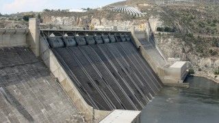 Fot. David Brodbeck/Wikipedia Commons/CC 2.0