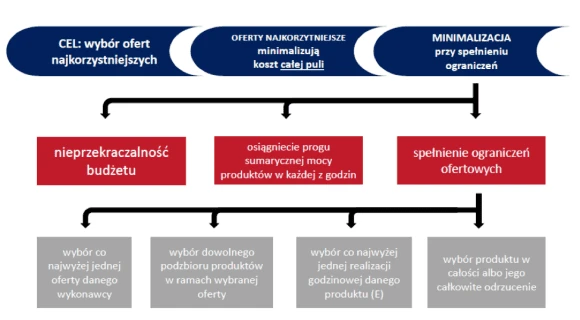 Cel programu DSR zorganizowanego przez Polskie Sieci Elektroenergetyczne / Źródło: PSE
