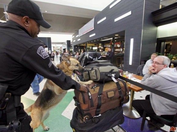 Służby Ochrony Lotniska w Los Angeles znalazły w bagażu podręcznym pasażera, m.in. granat dymny, nóż i kajdanki - fot. AP.