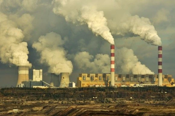 Fot. Greenpeace Polska / Flickr