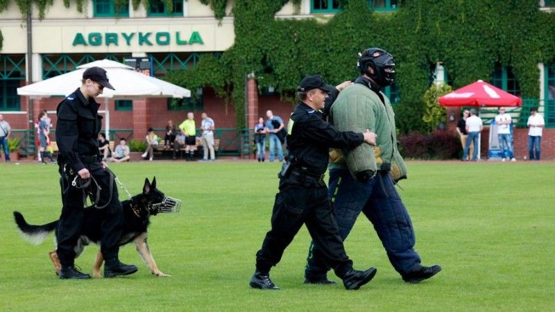 Fot. policja.pl, Marek Krupa.