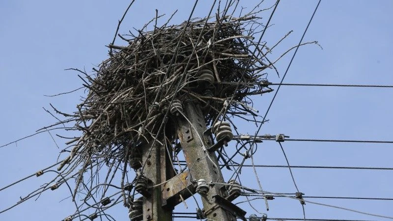 Fot. energa.pl