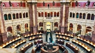 Fot. Flickr.com / Steve Moses / CC 2.0