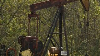 Fot. Ray Bodden / Flickr